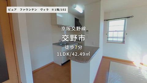動画