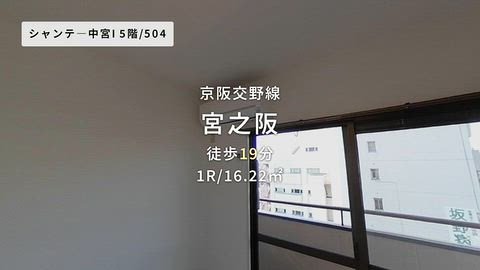 動画