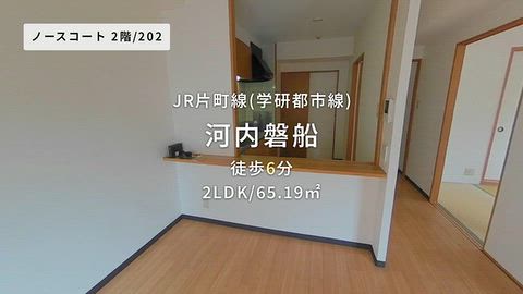 動画