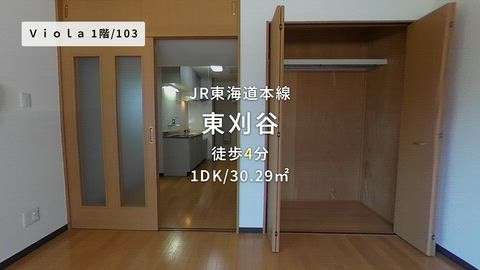 動画