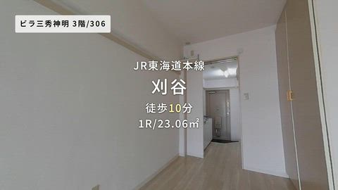 動画