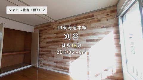 動画