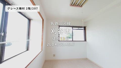 動画