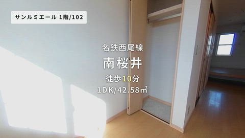 動画
