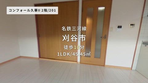 動画