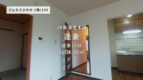 動画