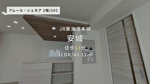 動画