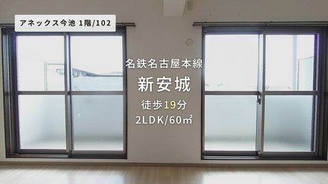 動画