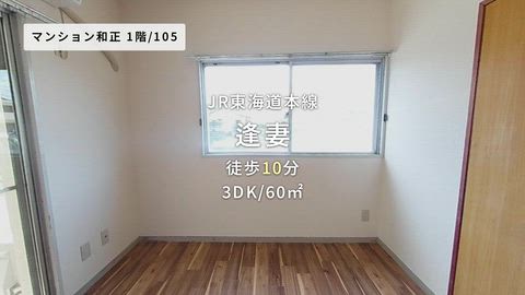 動画