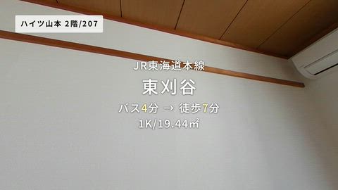 動画