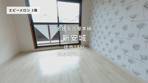 動画
