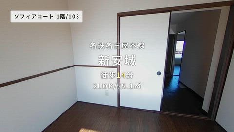 動画
