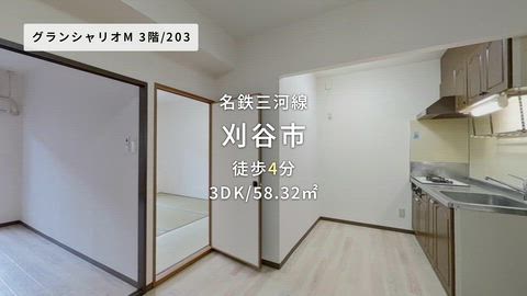 動画