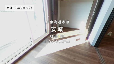 動画
