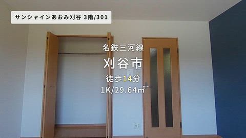 動画