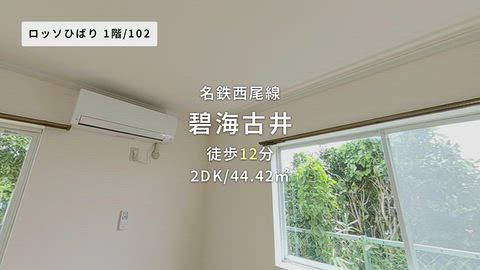動画