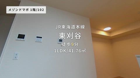 動画