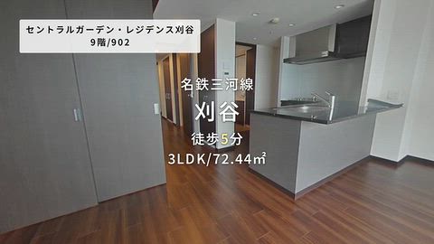 動画