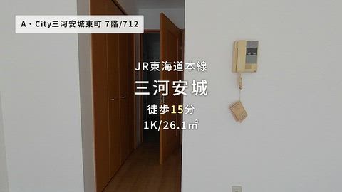 動画