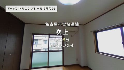 動画