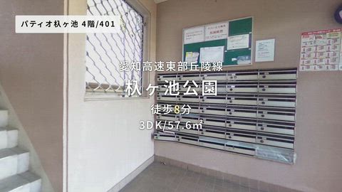 動画
