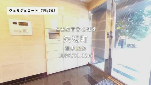 動画