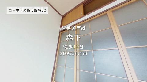 紹介ムービー