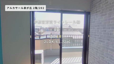 動画