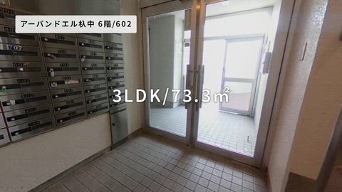 動画