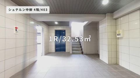 紹介ムービー