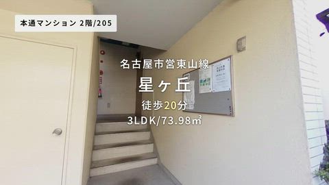 紹介ムービー