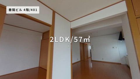 動画