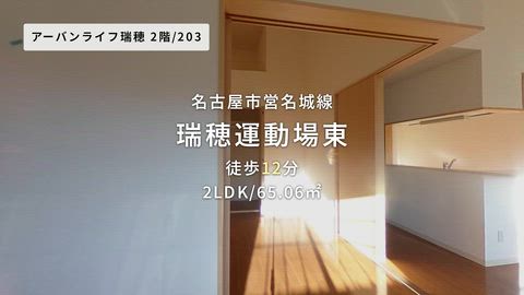 動画