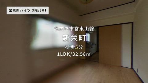 動画