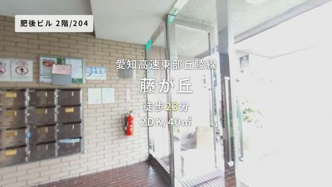 動画