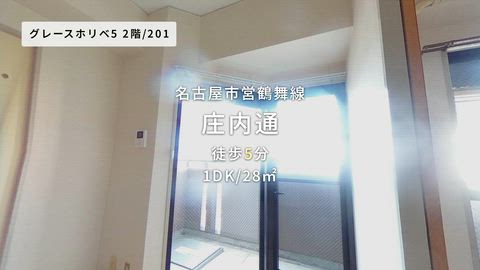 動画