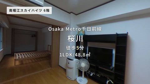 動画