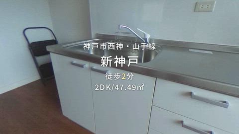 動画