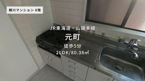 動画