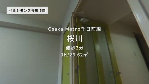 動画
