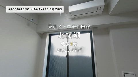 動画