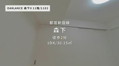 動画