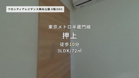 動画