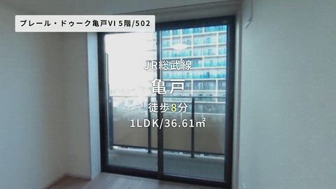 動画