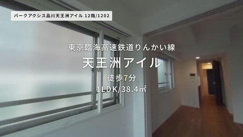 動画