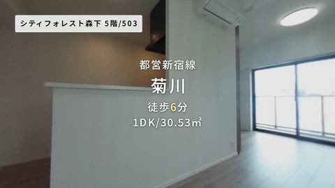 動画