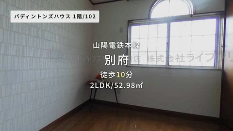 動画