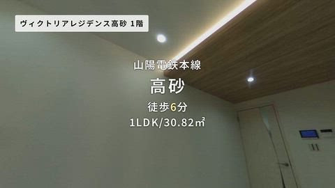 動画