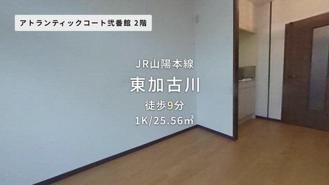 動画
