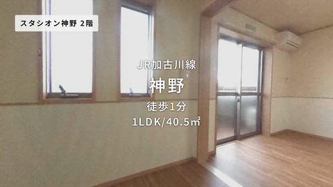 動画
